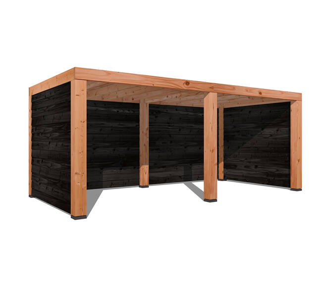 Douglas Overkapping Strak 3x6m. | Type 62 01